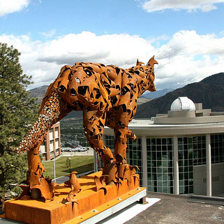 coyote statue